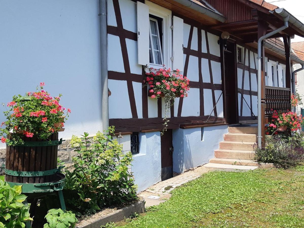 Cosy Holiday Home In Schleithal With Garden Εξωτερικό φωτογραφία