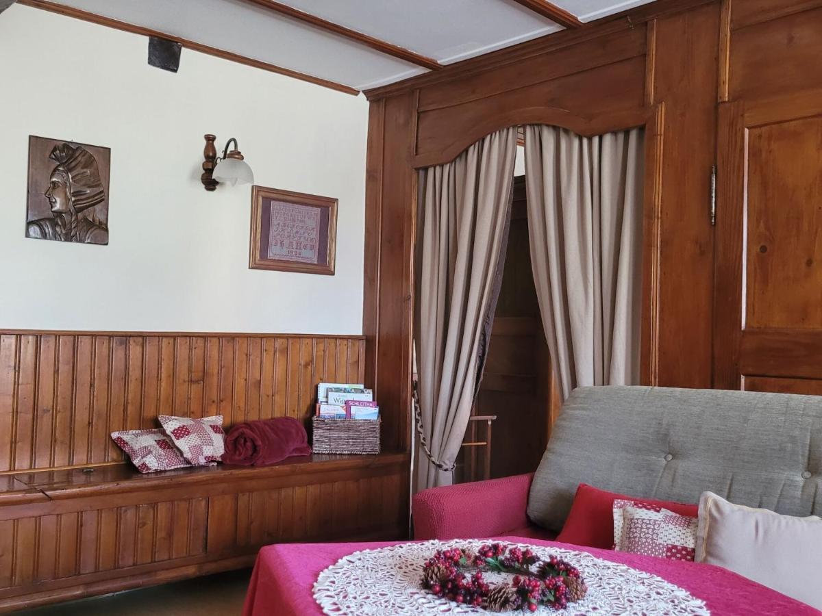 Cosy Holiday Home In Schleithal With Garden Εξωτερικό φωτογραφία