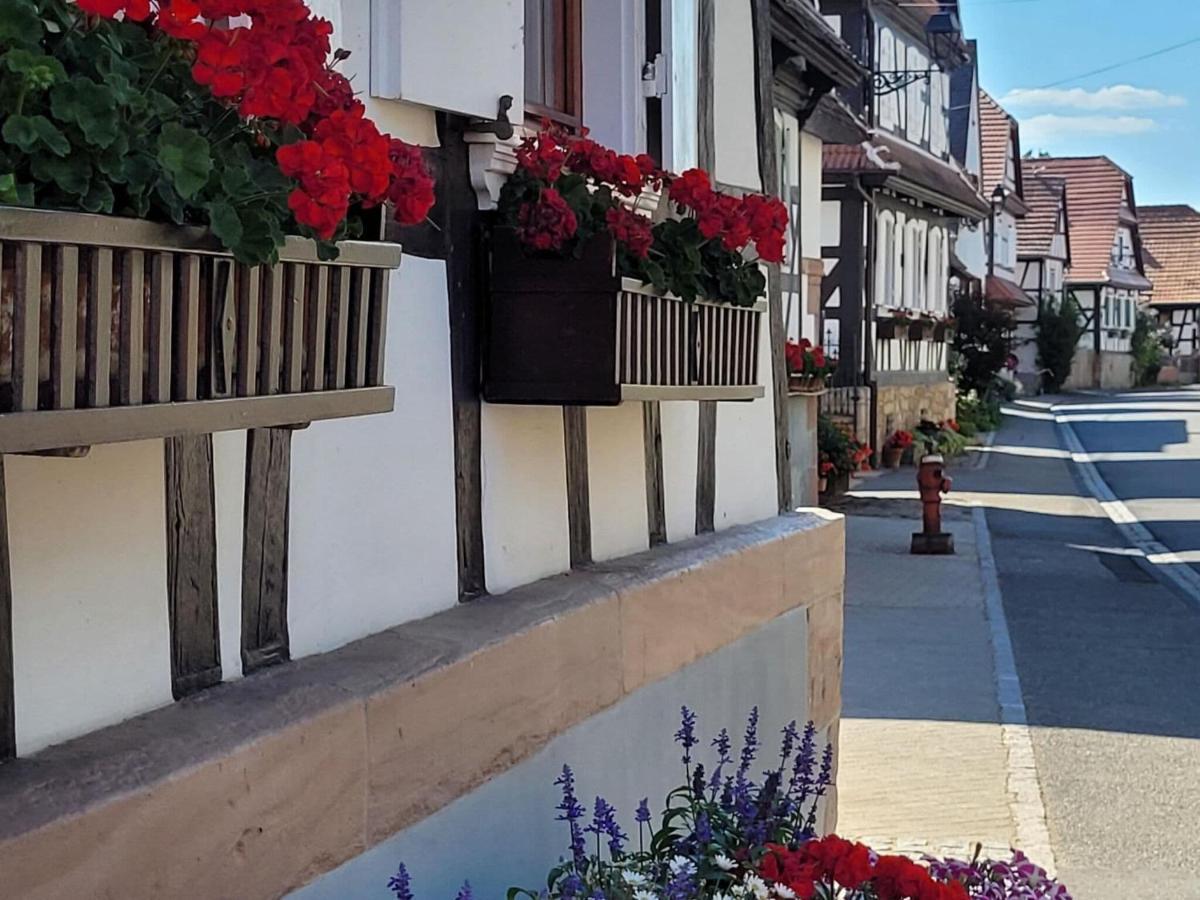 Cosy Holiday Home In Schleithal With Garden Εξωτερικό φωτογραφία